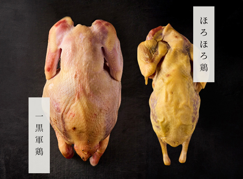 黒しゃも & ほろほろ鳥